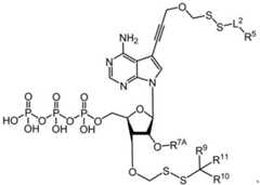 Figure BDA0003670511740002674