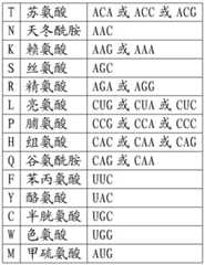 Figure BDA0002508391090000281