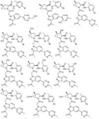 Figure imgf000112_0001