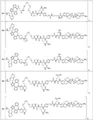 Figure FDA0002889616210000521