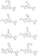 Figure imgf000091_0001