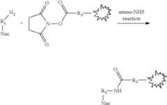 Figure US11613772-20230328-C00018