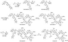 Figure imgf000114_0001