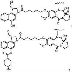 Figure BDA0001241706110001172