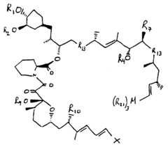 Figure imgf000014_0002