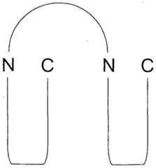 Figure imgf000037_0002