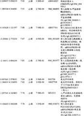 Figure BPA00001280678302311