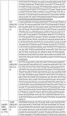 Figure BDA0004033970230006761