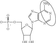 Figure US09233141-20160112-C00092
