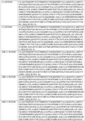 Figure imgf000074_0001