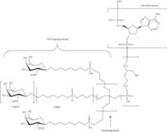 Figure US09957292-20180501-C00152