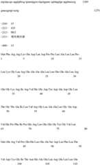 Figure IDA0001057487920000261