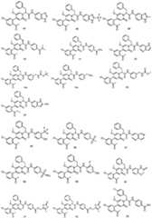 Figure FDA0003202626560000101