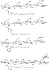 Figure imgf000010_0001