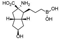 Figure imgf000244_0001