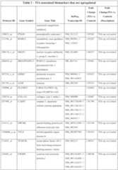 Figure imgf000033_0001