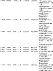 Figure BPA00001280678302581