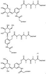 Figure imgf000179_0001