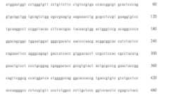 Figure 108123466-A0305-02-0450-345