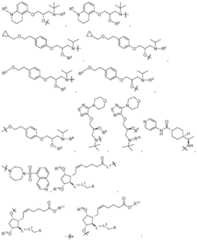 Figure FDA0002537542890000201