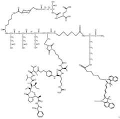 Figure imgf000052_0001