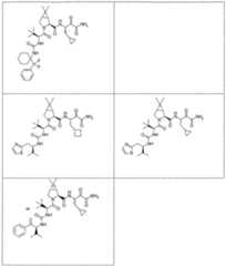 Figure imgf000233_0001