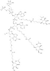 Figure imgf000091_0001