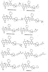 Figure imgf000037_0001