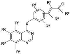 Figure imgf000004_0001