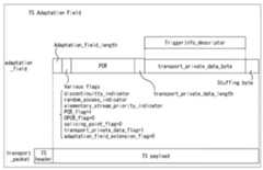 Figure R1020137006394