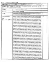 Figure 0007438604000013