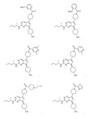 Figure imgf000047_0001