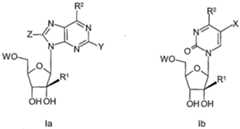 Figure imgf000057_0001