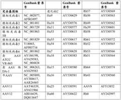 Figure BDA0003688418350000061