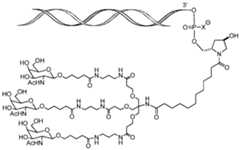 Figure imgf000269_0002