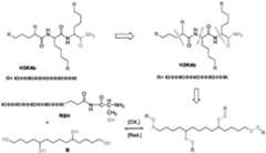 Figure imgf000019_0001