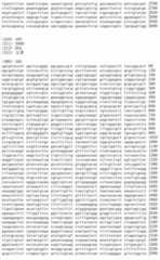 Figure IDA00002091897101761