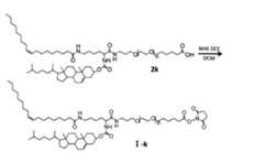 Figure JPOXMLDOC01-appb-C000096