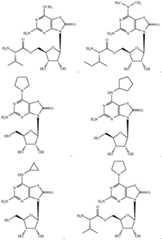 Figure BDA0002803871440000991