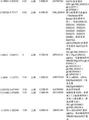 Figure BPA00001280678302371