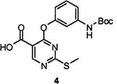 Figure BPA00001280125602062