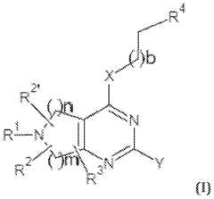 Figure imgf000005_0001