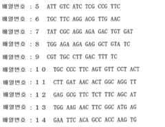 Figure 112008083046430-pct00005