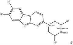 Figure FDA0003534347750000142