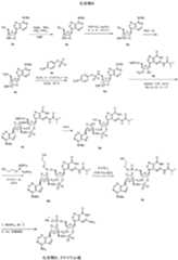 Figure 0007317014000062