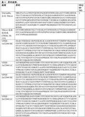 Figure BDA0004179509630000231