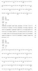 Figure IDA0000048852340000061