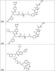 Figure BDA0002268634580002941