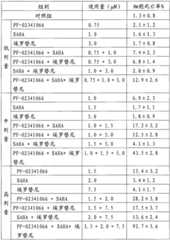 Figure G2009101293174D00111