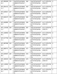 Figure imgf000051_0001